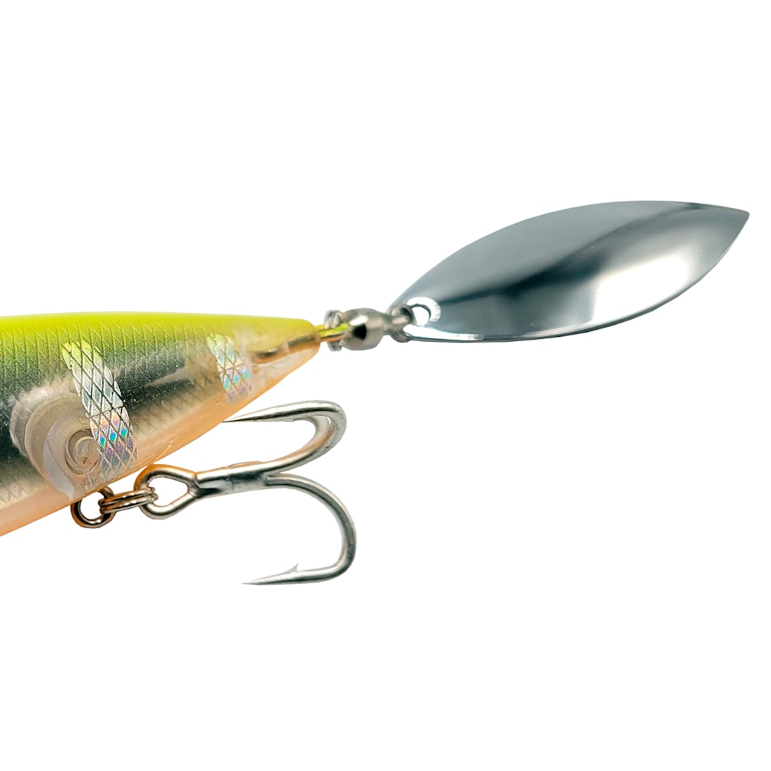 image_3bbf3786-c29f-46c3-b3e8-cbd764269f7a