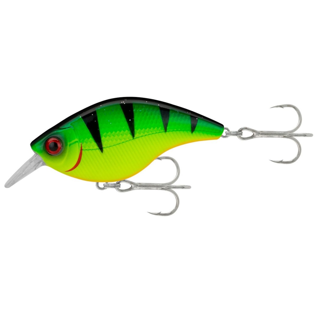 image_da873406-ee99-4c37-8855-f01ced1b6756