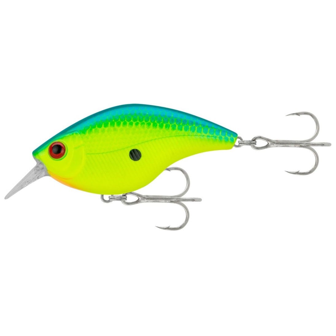 image_9c1d0e55-7165-4207-a5b1-2f8b987f637e