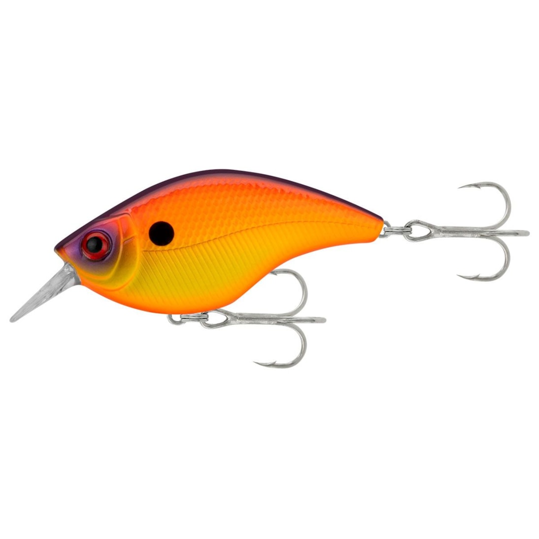 image_ec2d67d8-ebcf-4107-85c2-3d8763fe8a15