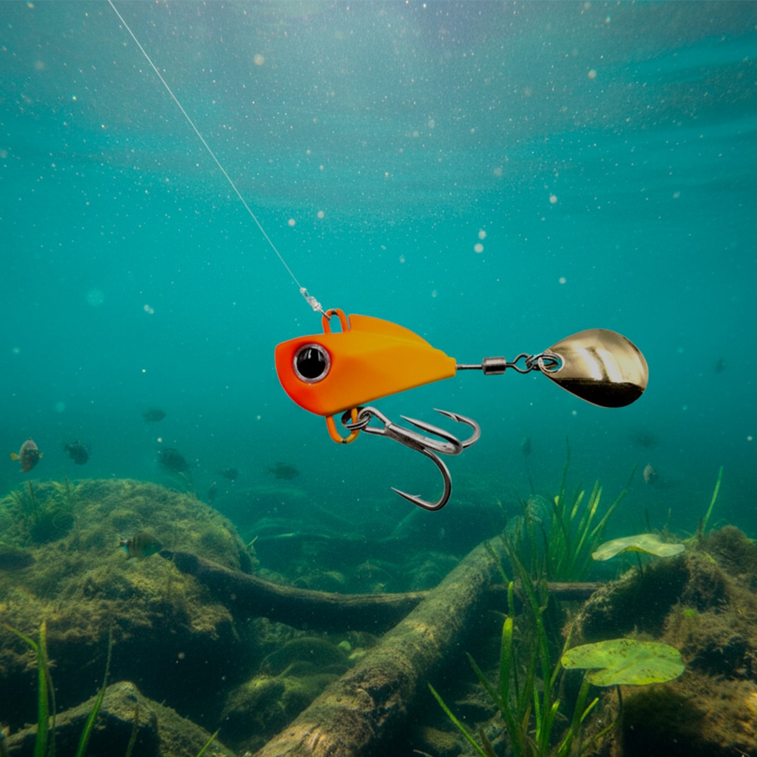 image_238aa8c6-7359-4a50-9458-dcf40c4736c4