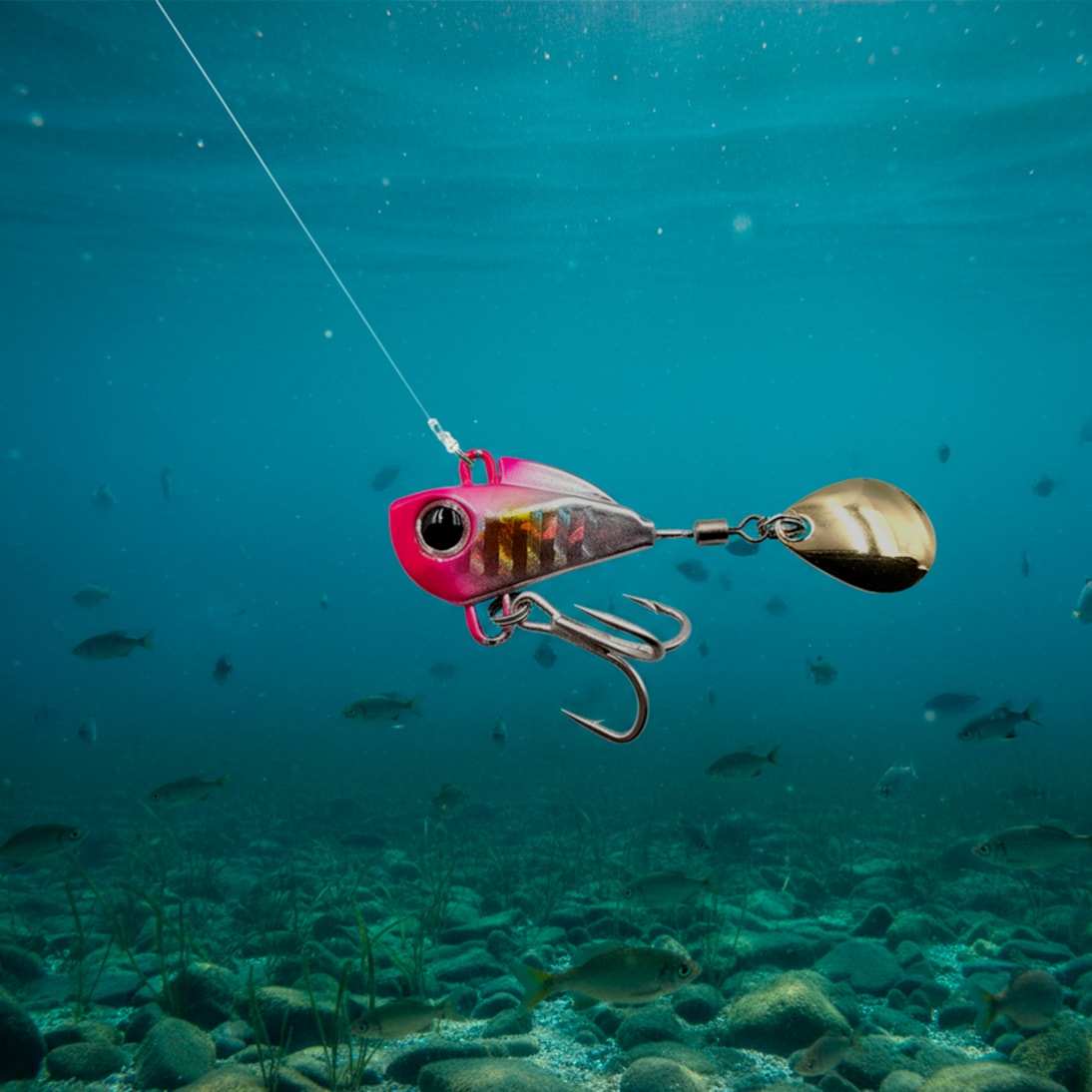 image_740b1d07-4d45-4ff9-8600-691a10922ec8