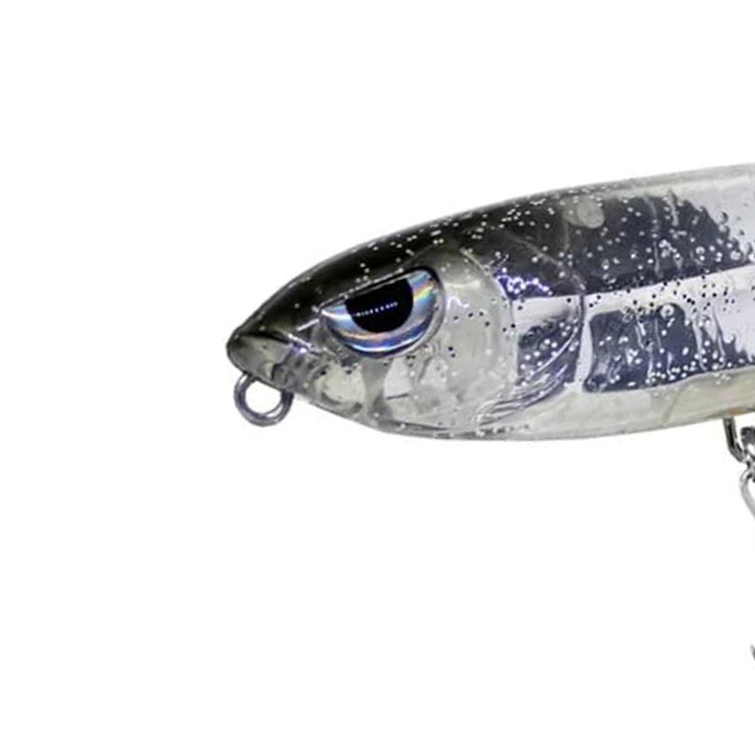 image_2fa9f8b7-2418-4d39-8b15-6ccd6b6dc6bb