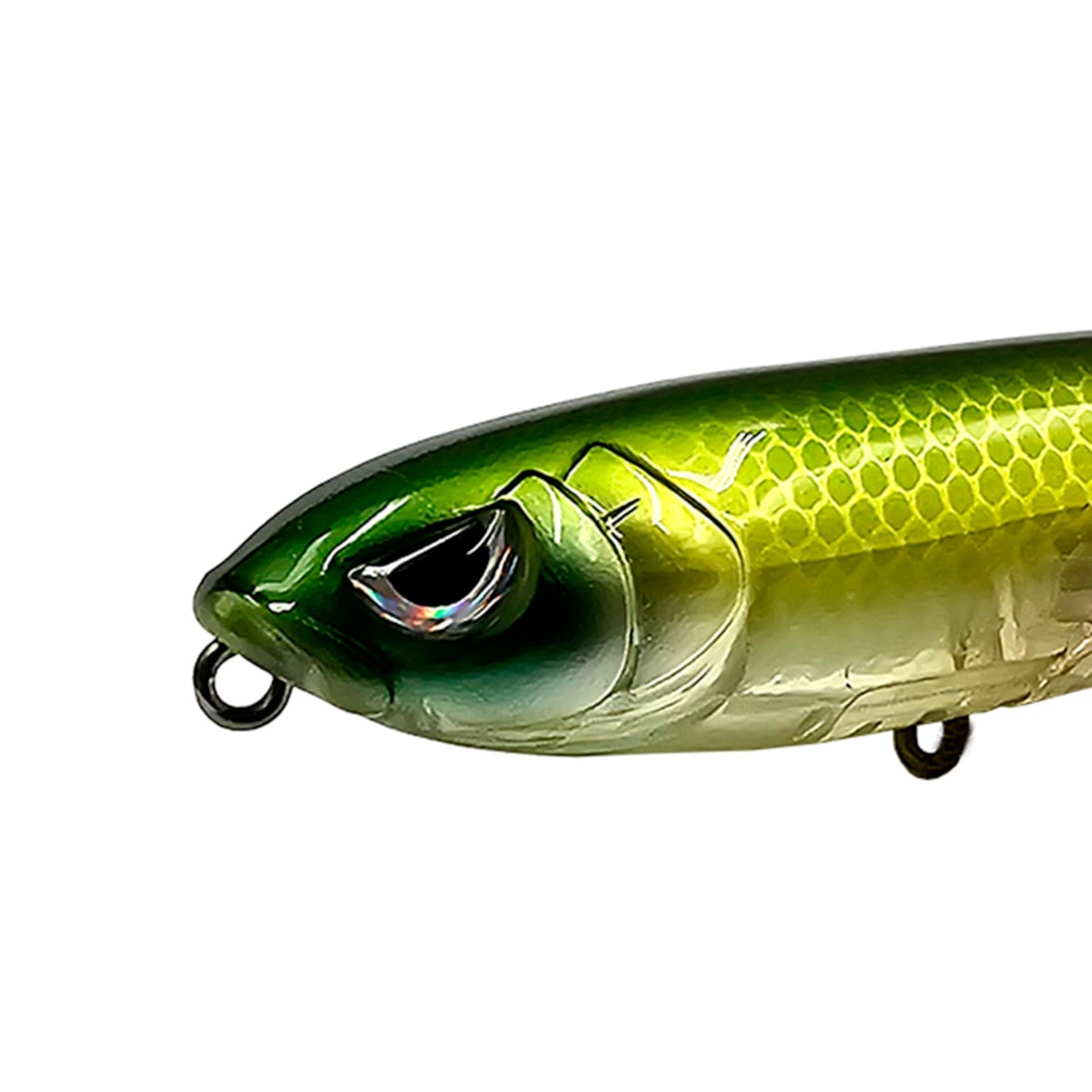 image_4cd4db24-715b-48a9-a189-3e1026e248cc