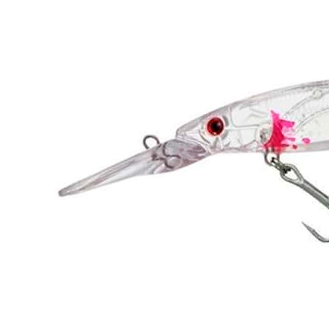 image_5510fa12-3234-4b0f-8902-ce0fed5a22ef