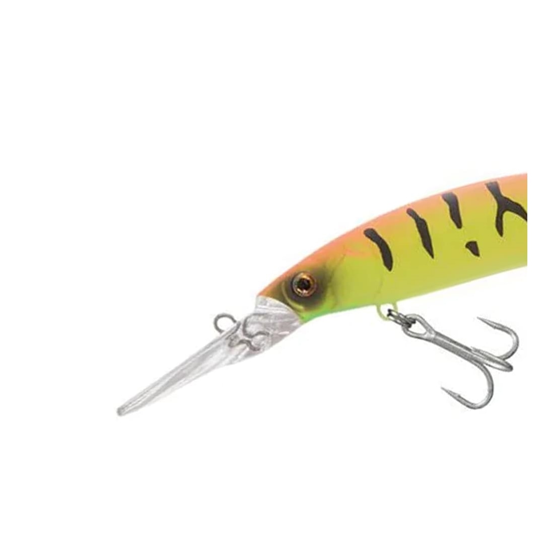 image_d61e4316-2e95-4eef-a946-5308350d215c