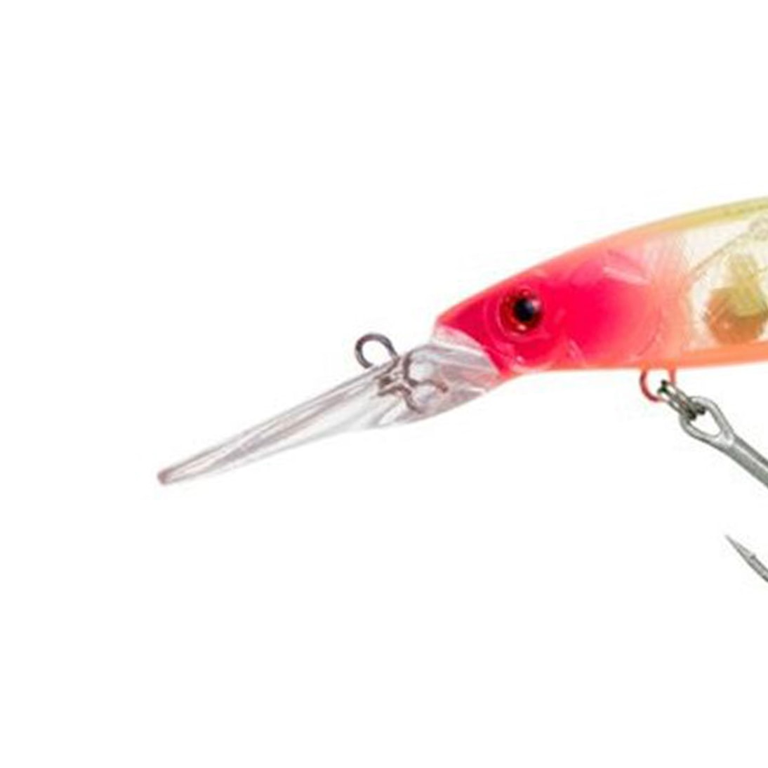 image_03b9b6aa-41f2-4011-a48f-150e3ffa82de