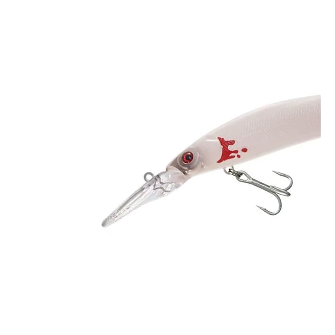 image_73d45c55-be4b-4f22-ad2f-0e7b7e4bc246