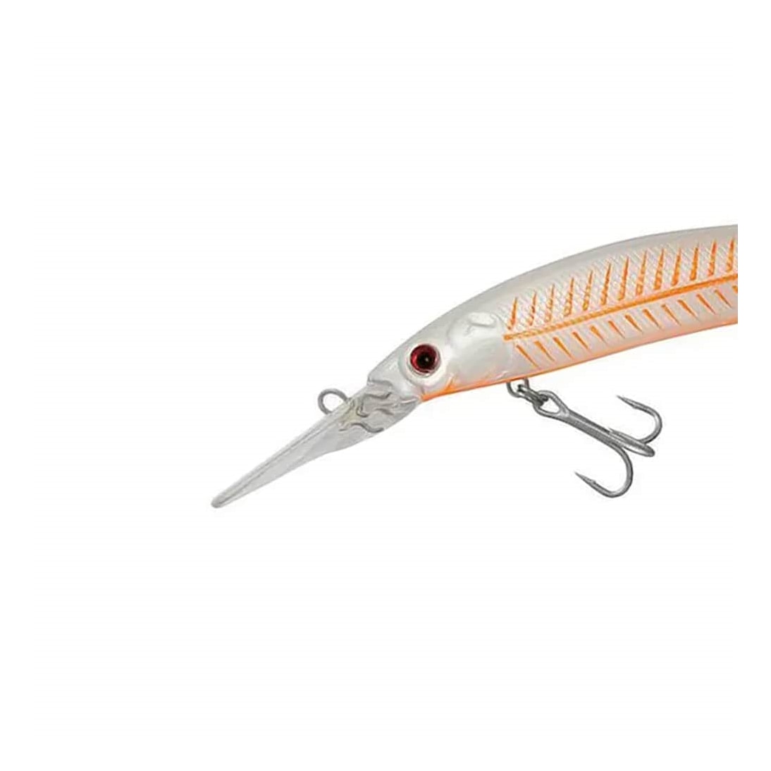 image_79b7adff-cbe4-4056-b87f-8a639a43d593