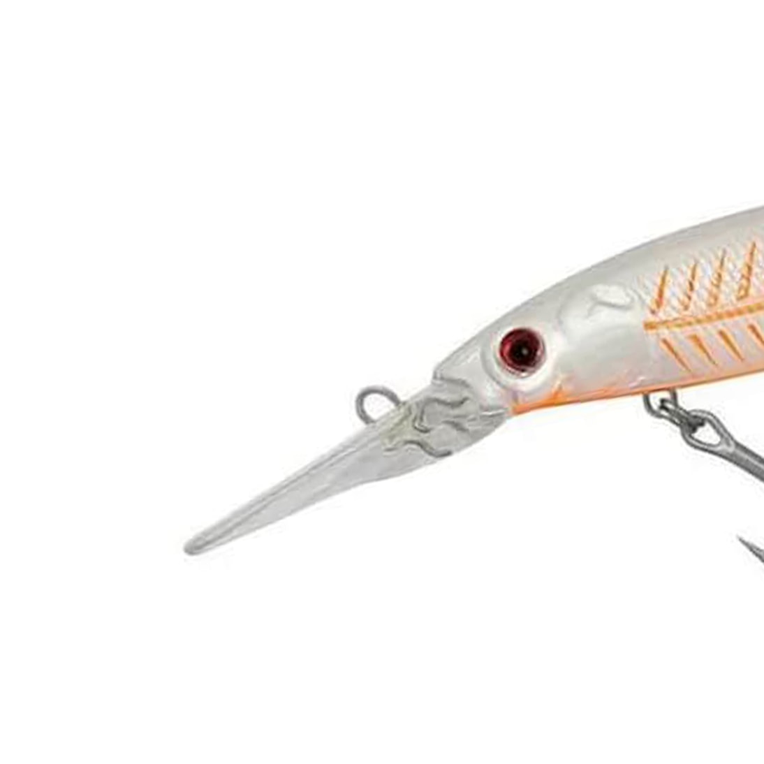 image_59aba7c3-a755-4962-86b7-41e257d65249