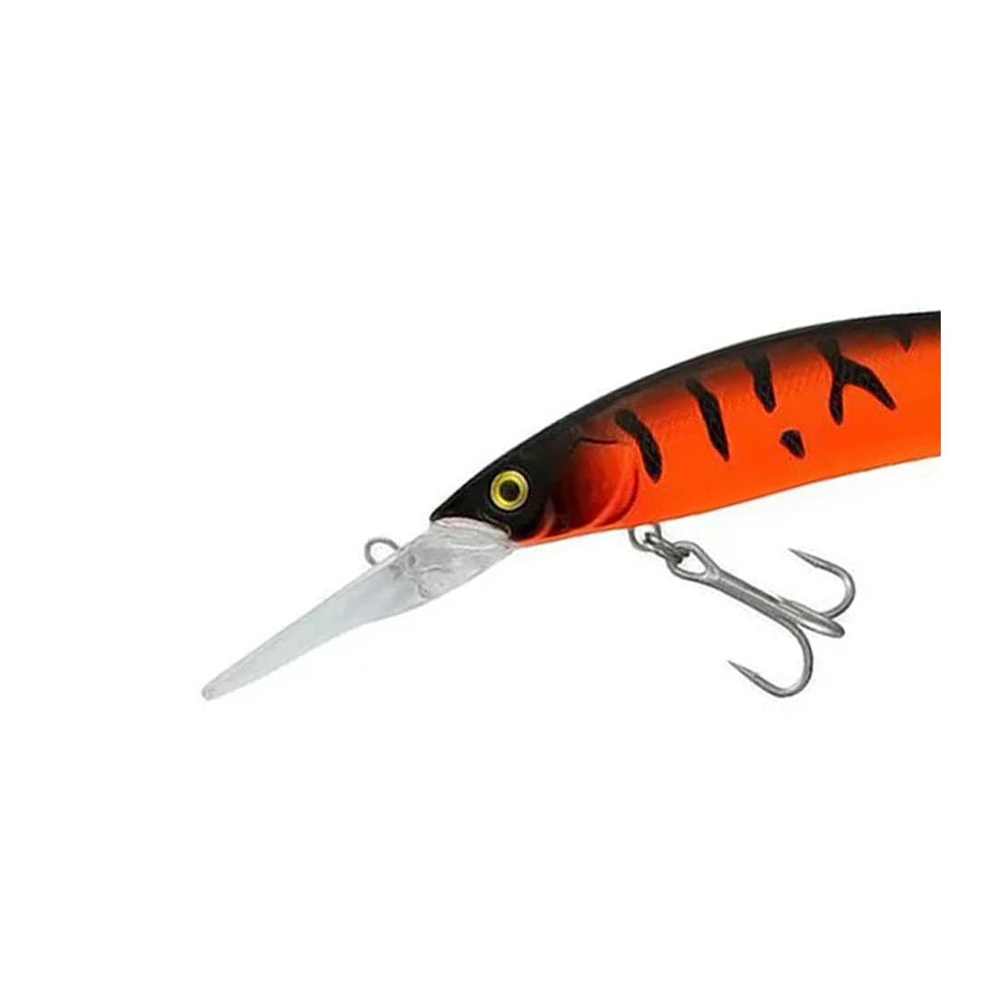 image_66320c77-6c78-49ff-9459-1c49c026d91e