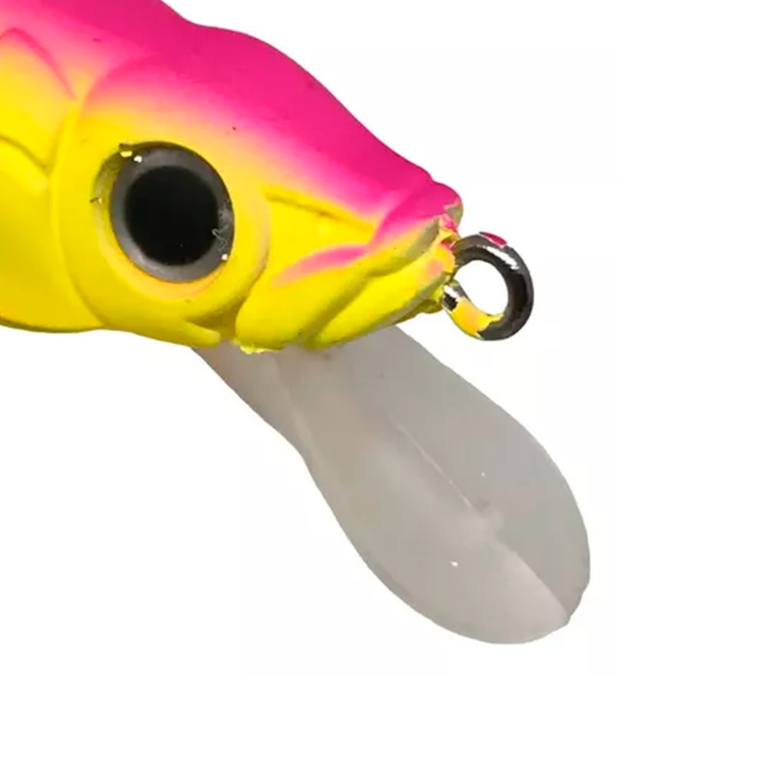 image_53fb45e0-9ab0-4765-93c5-7fe1d83beb89