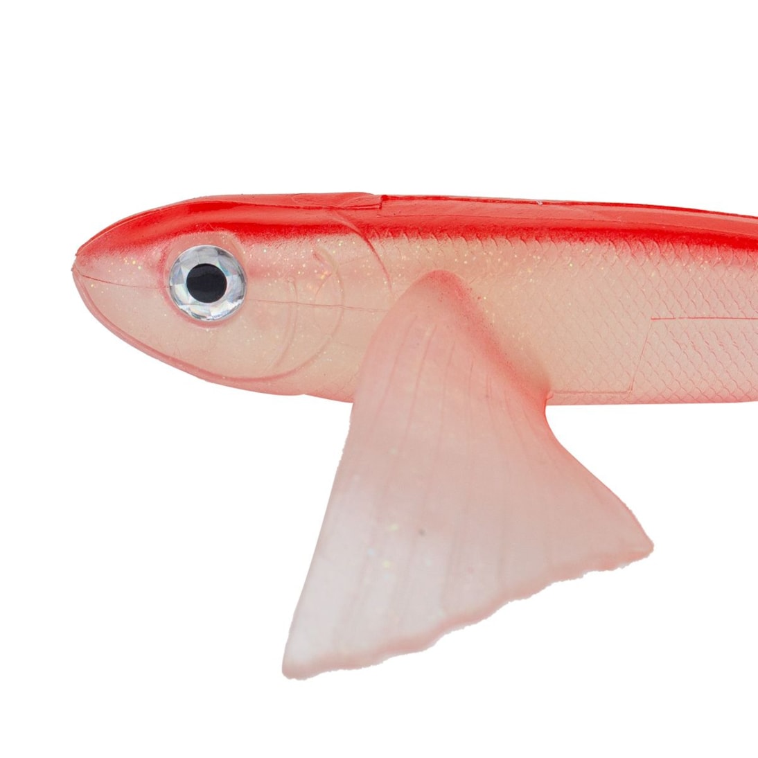 image_fdc49bdf-4d29-4375-8ebb-bd1eb9c6a733