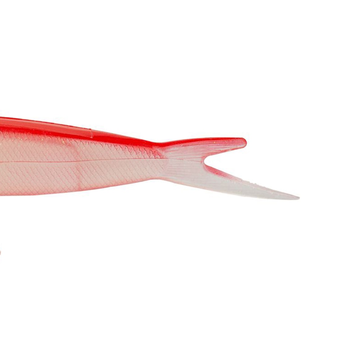 image_901b9a3b-4db3-4924-ae4d-84d83ecfc089