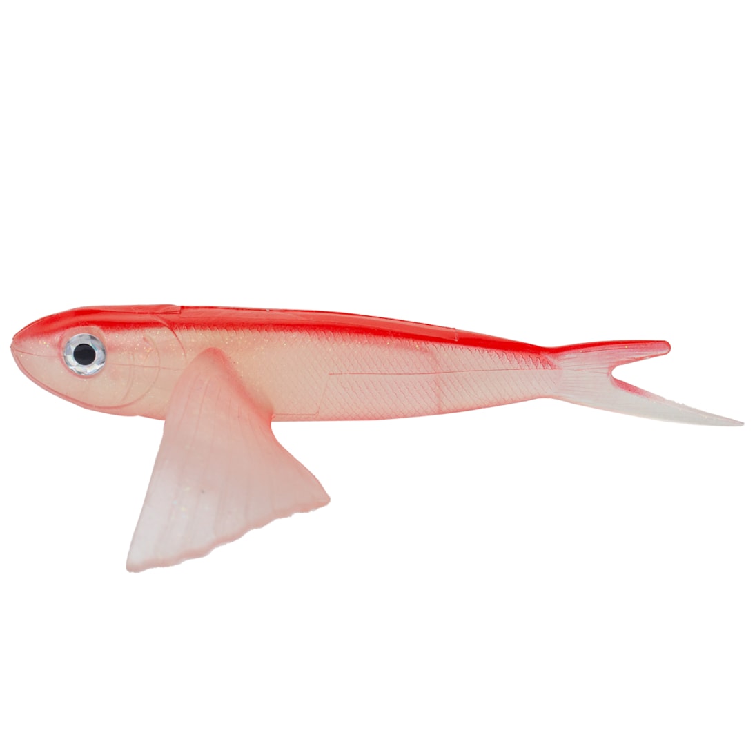 image_48c6c441-9f31-453c-a5f3-98b76ec04285