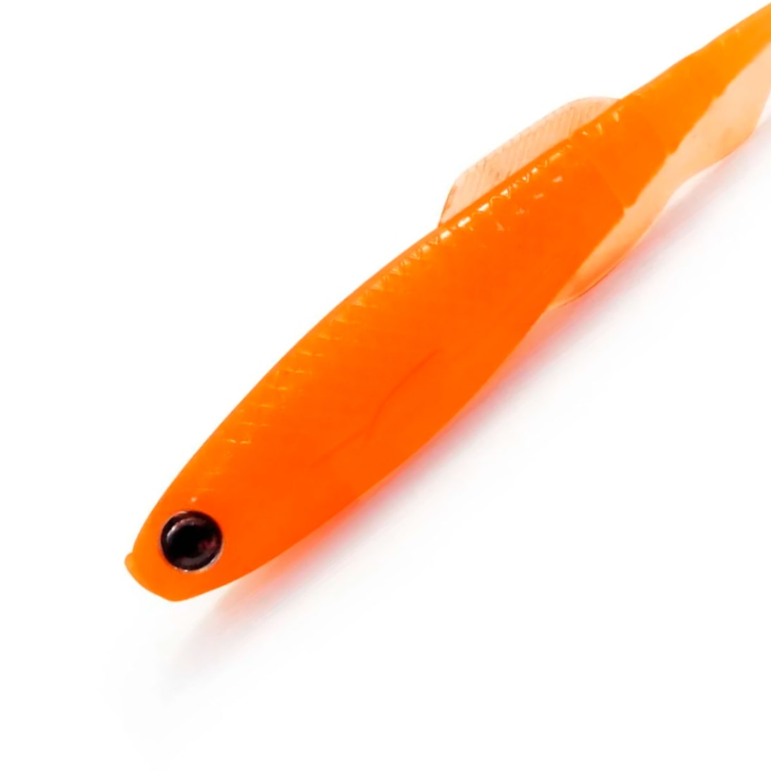 image_2a0b7766-59b4-4889-9154-c7be74ed028a