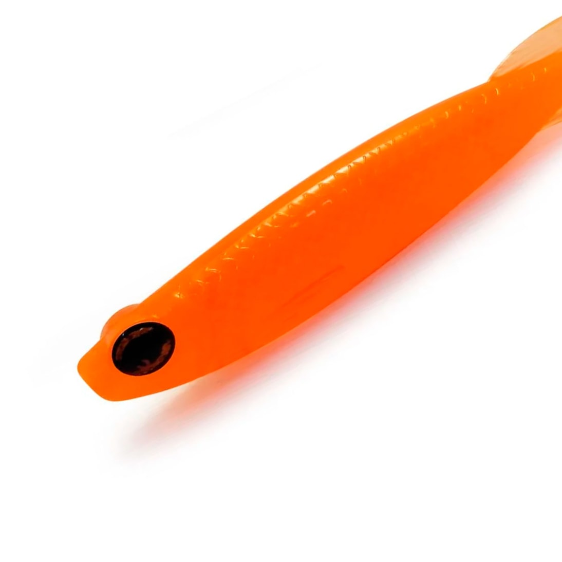 image_7ef65cf5-d249-431b-bfa3-f5c7746480bd