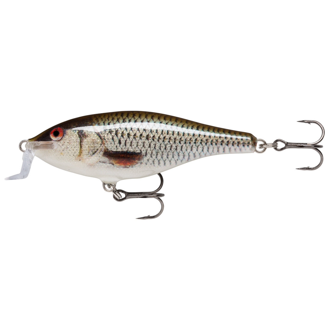 image_0bba6357-bb68-4672-89d8-6f131f25171a