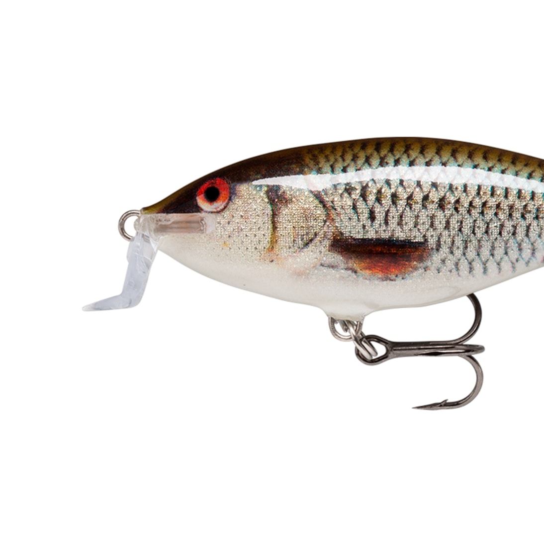 image_0f78e0b1-1a43-42ed-877c-c6cd72c2bf1a