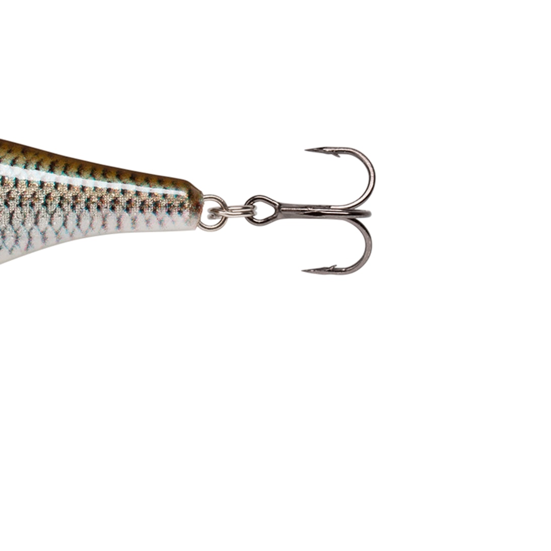 image_005ee5ca-9ab0-42ec-b0b9-40fb6a8f8f79