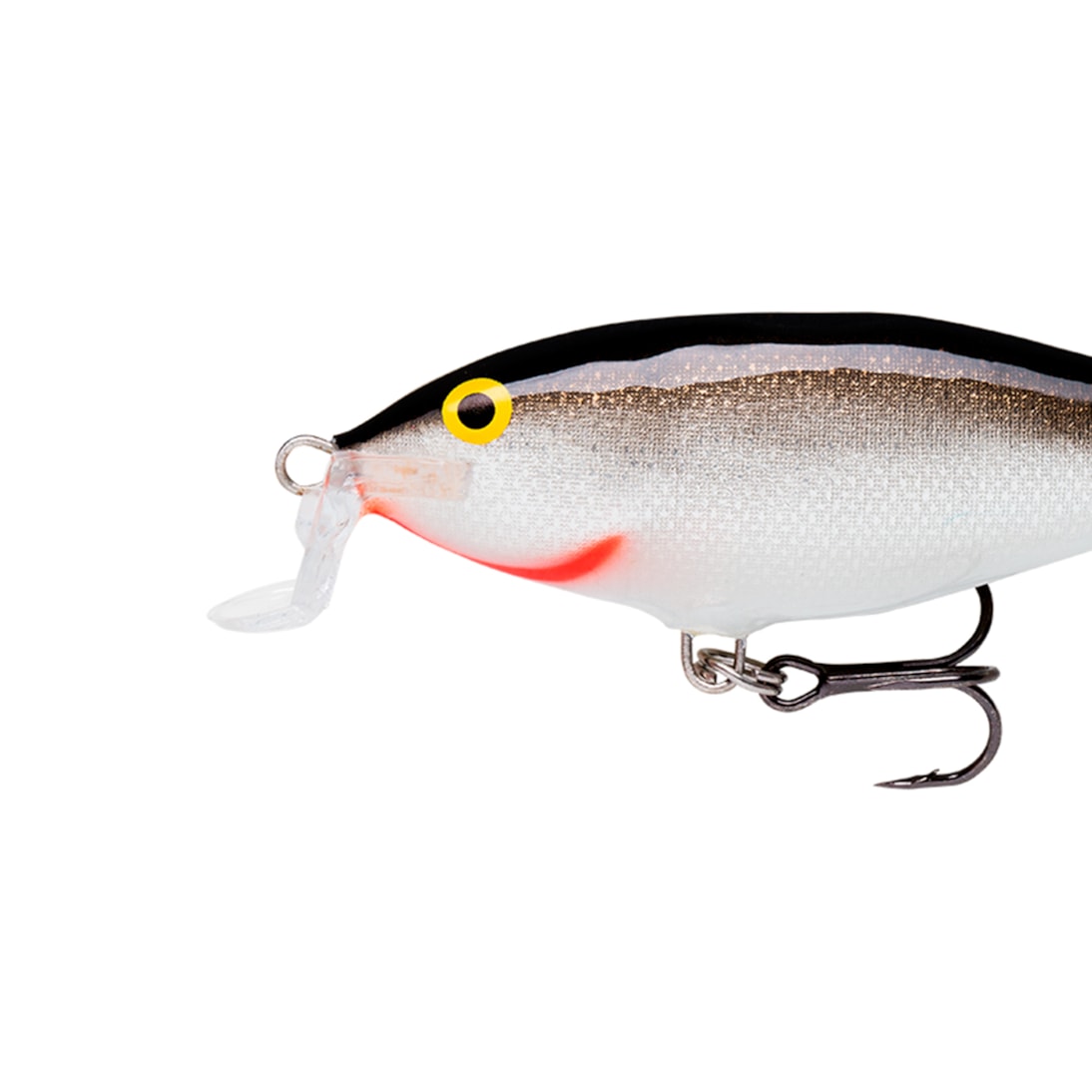 image_2ce0c3b2-a0ff-4b57-83b2-fa8339e0bedc