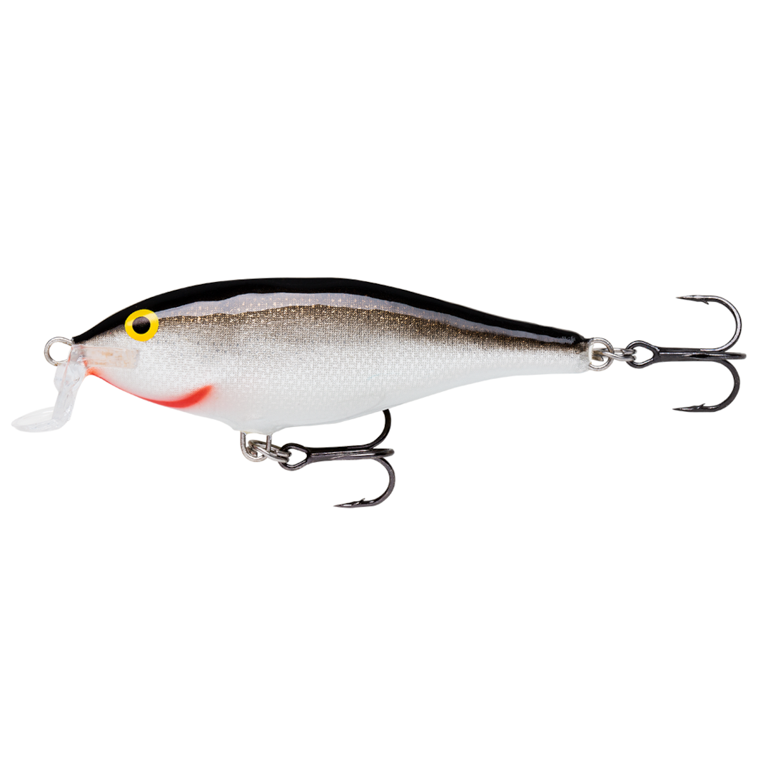 image_6b8becd8-98b2-4abf-95b5-c66f92f9bcb7