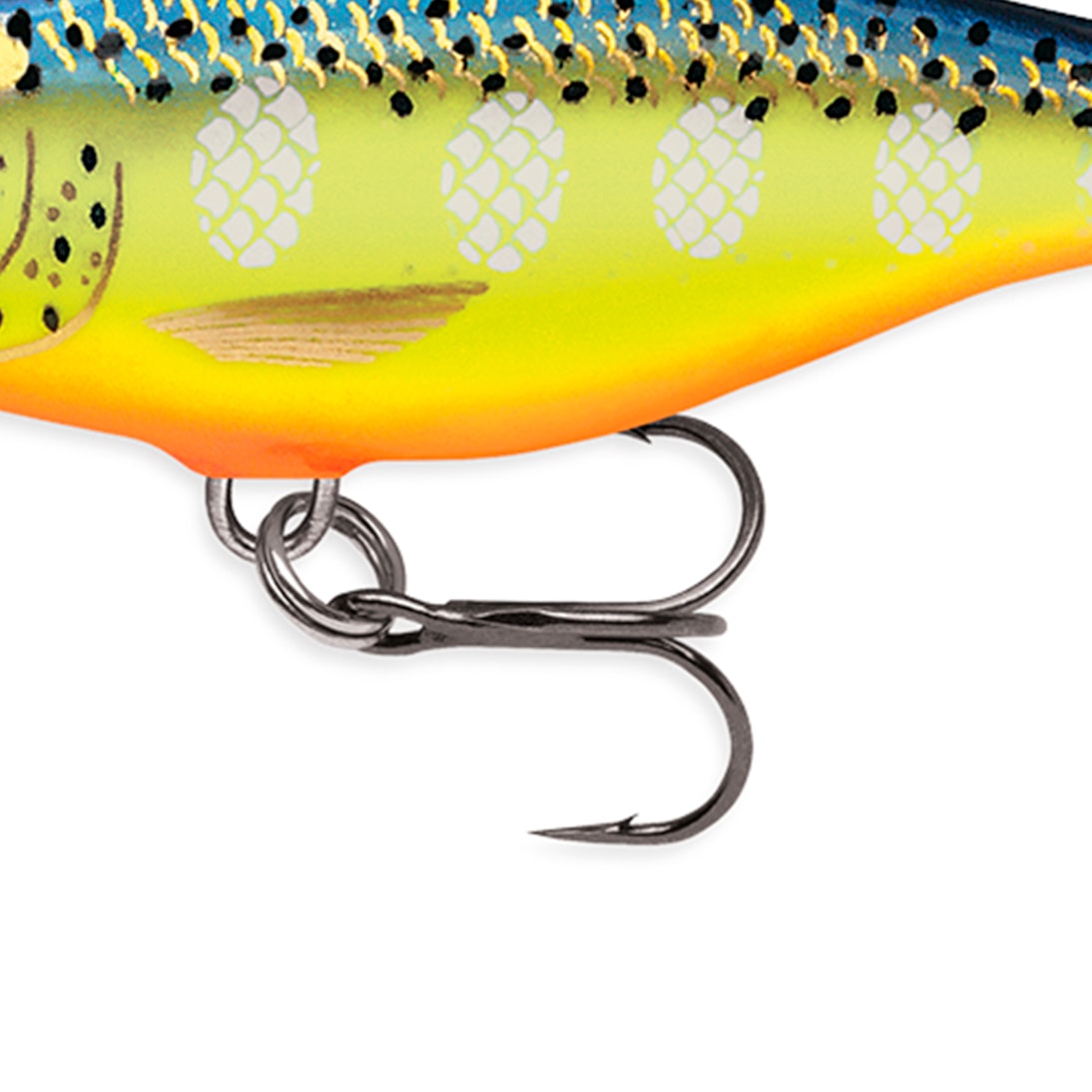 image_e2f95420-4919-404a-9094-83a2a9df93bd