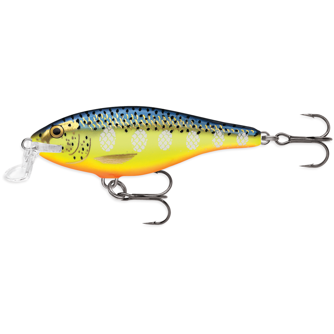 image_7dc4a718-fa38-469f-b6d0-b671fb1afc5c