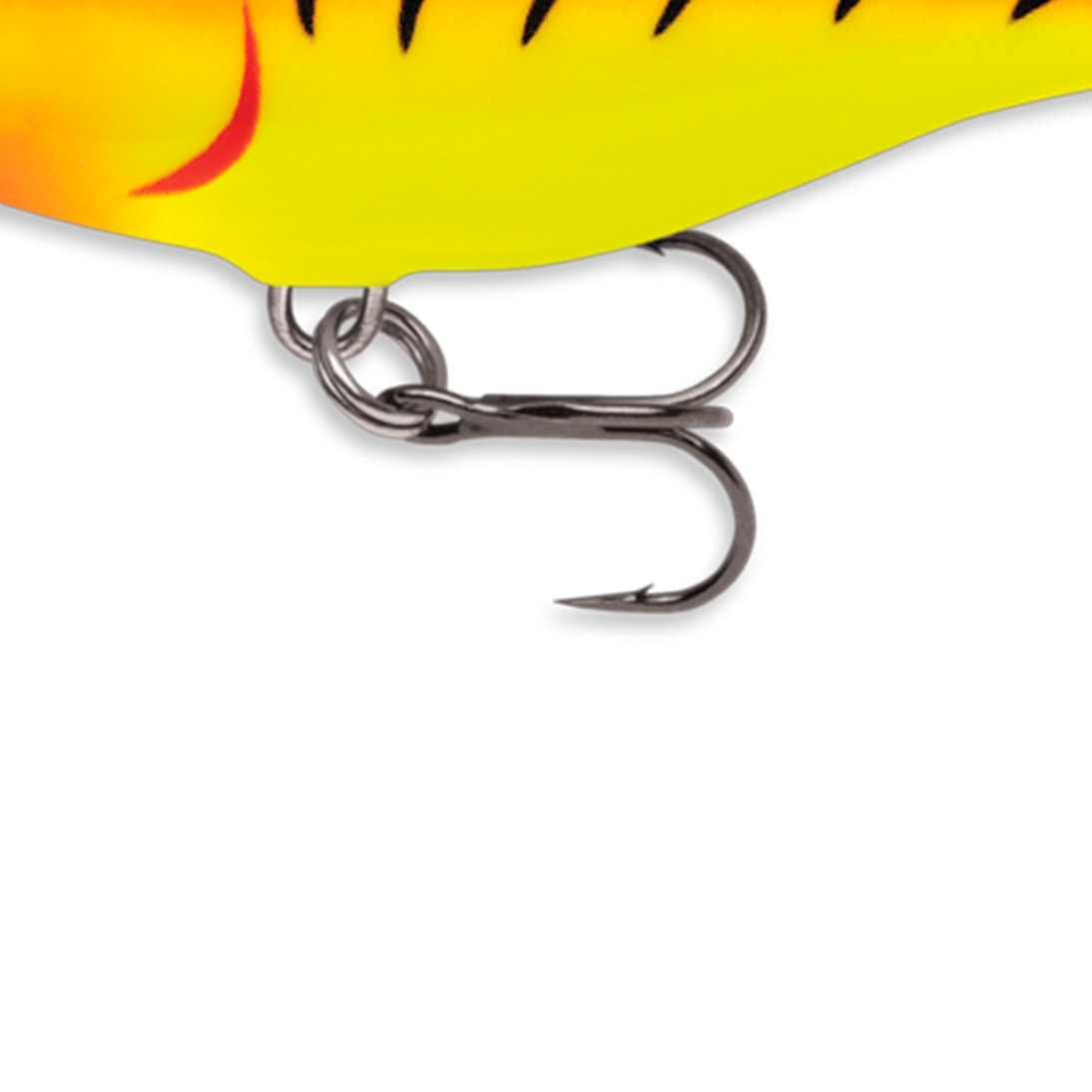 image_e8094fa9-221b-40a3-bad0-f616647fddd1