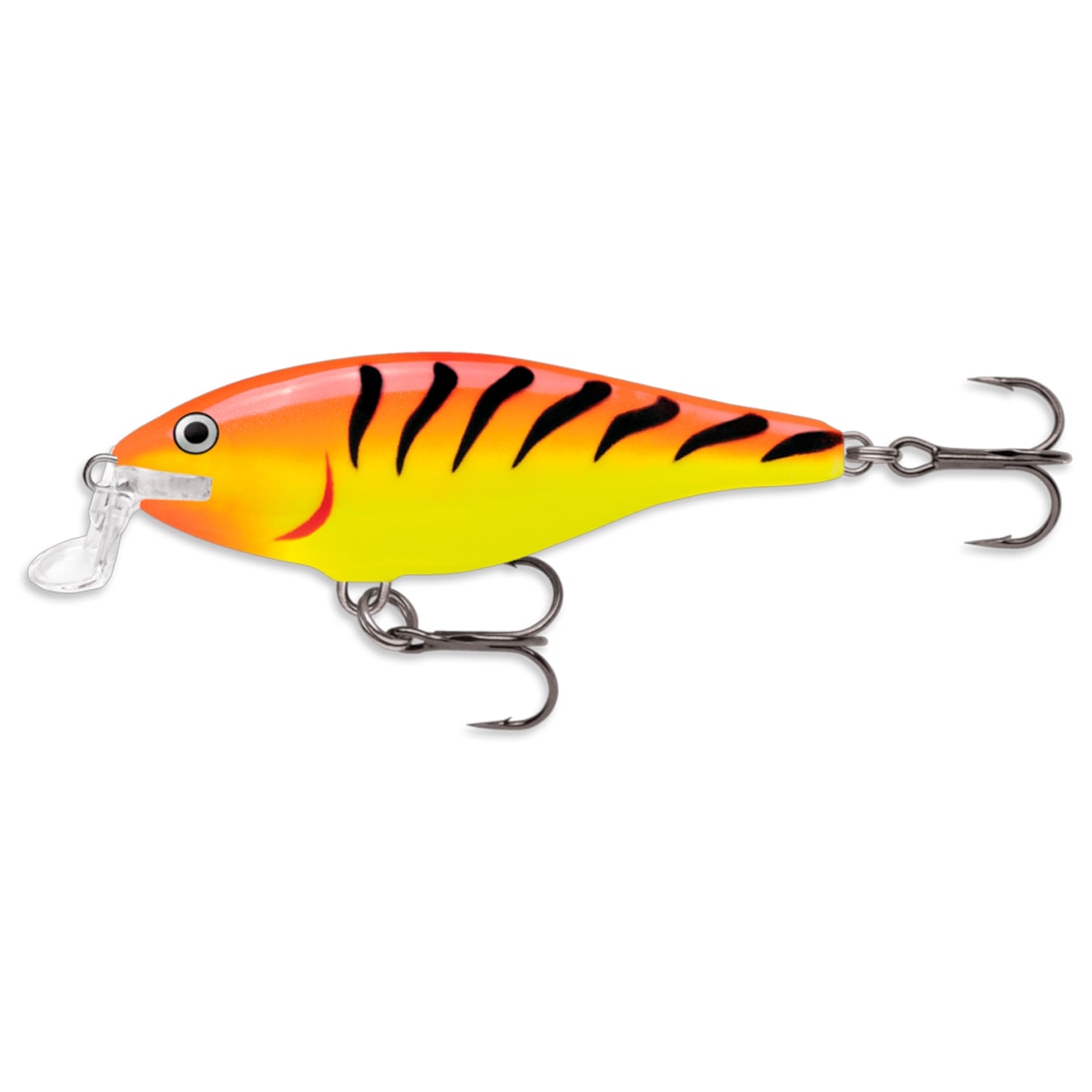 image_51f00aa1-27d0-479a-91a2-d47ef0947868