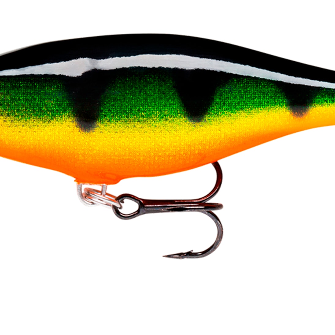 image_2ce6a866-a56f-4ade-82bc-8328bf21025c