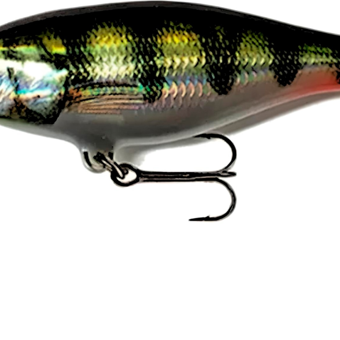 image_c40a6750-e215-4387-8902-b7de3e2019ae