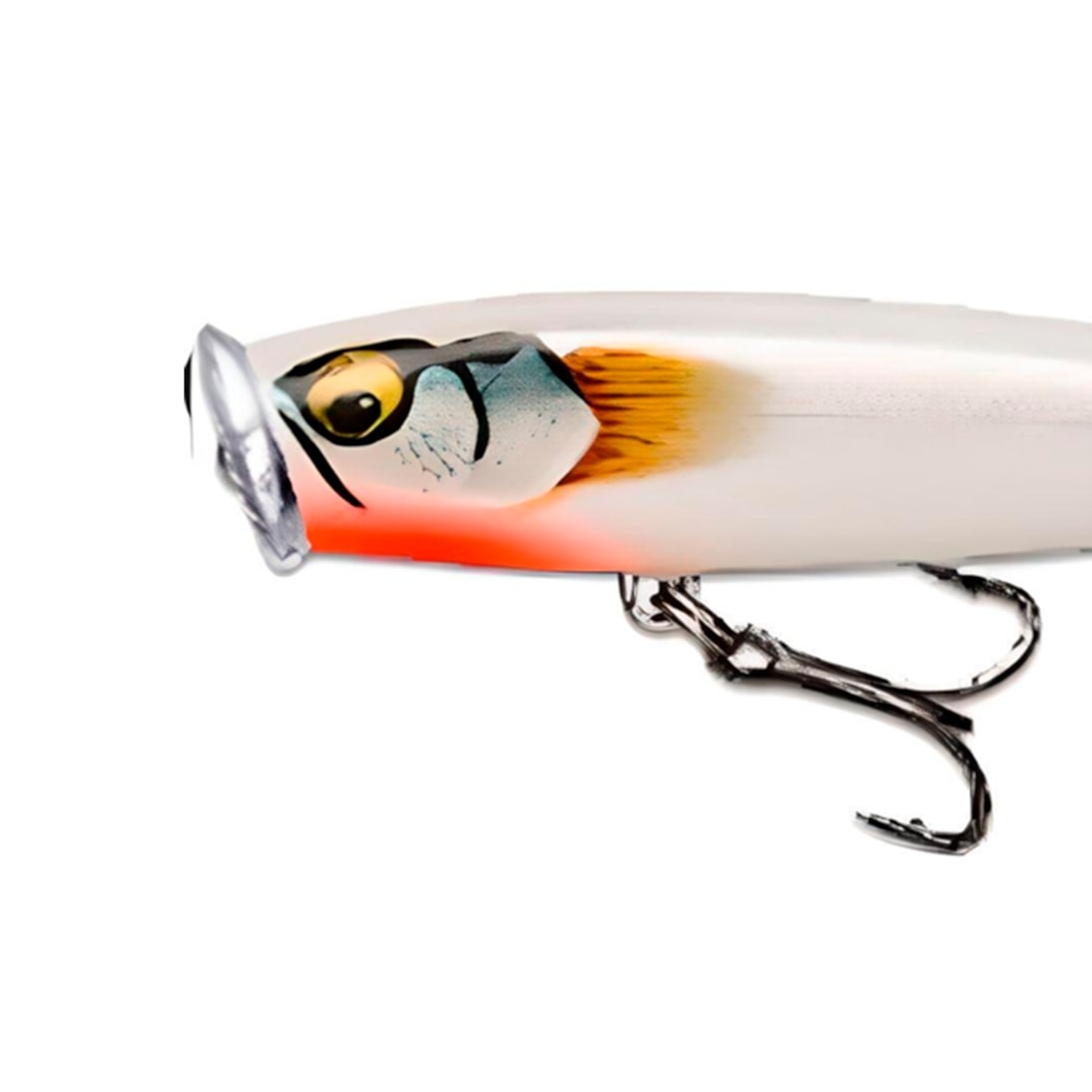 image_50ecc7fe-a948-49d9-a281-d2e68a856b15