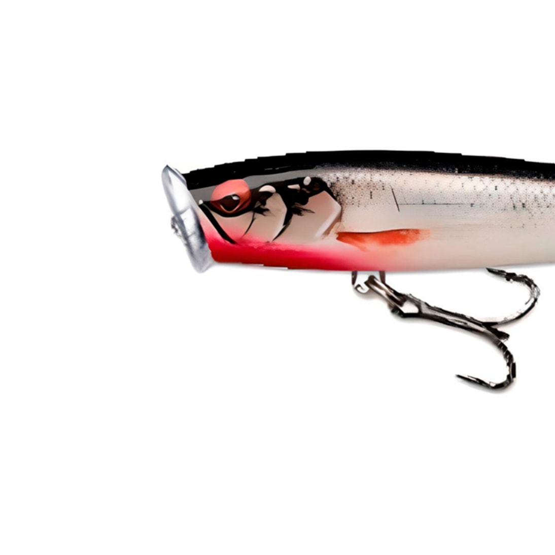 image_ad64de2a-2084-4ff7-9482-f7e1546a9e77