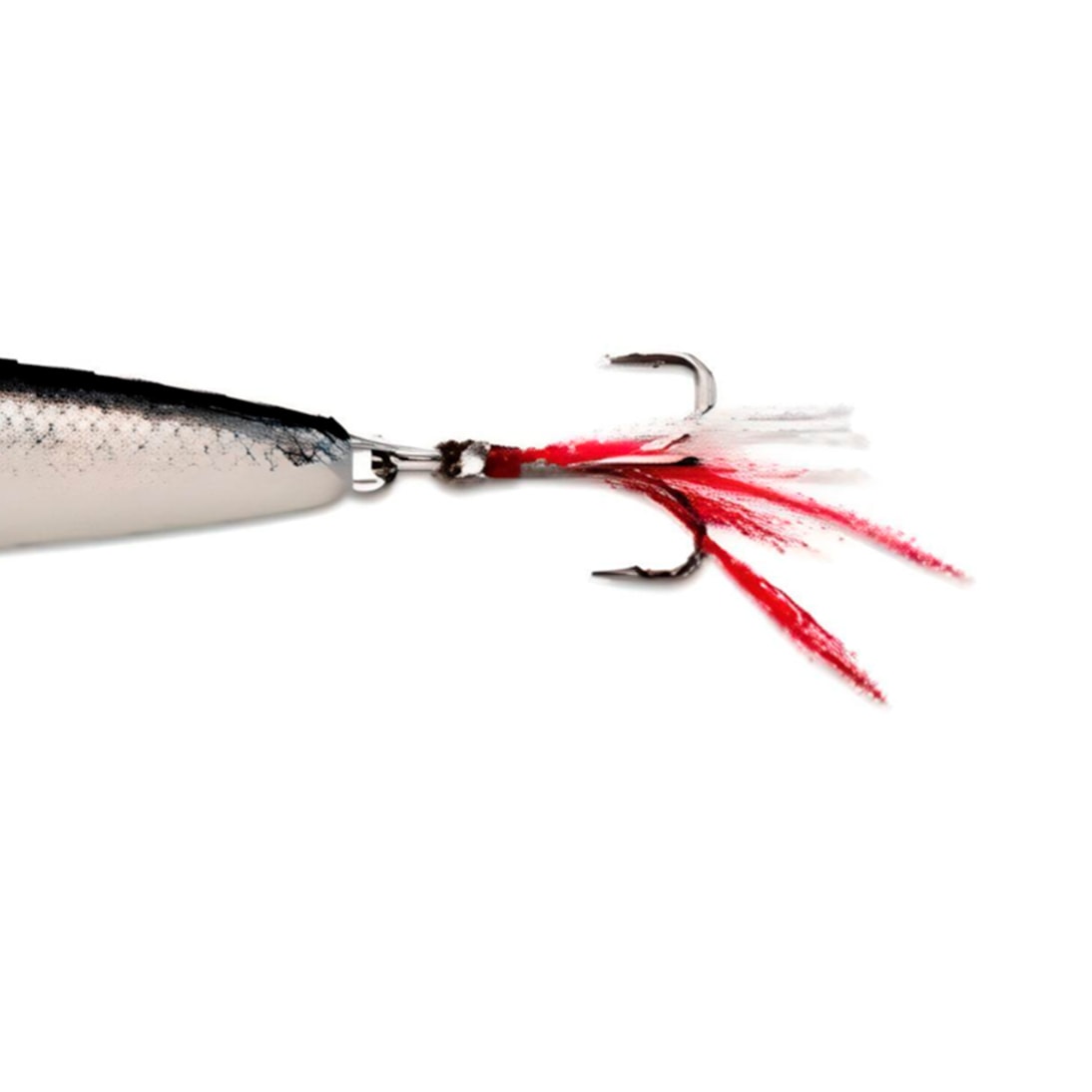 image_74e21920-57ce-4b7a-bf29-ed44e7e193b7