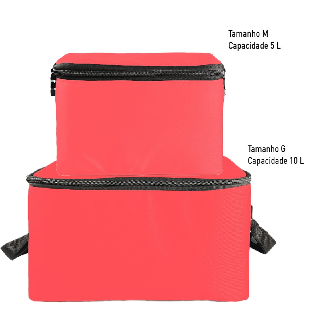 image_c56533b5-21ff-4572-9a5d-887c68c6cf0d