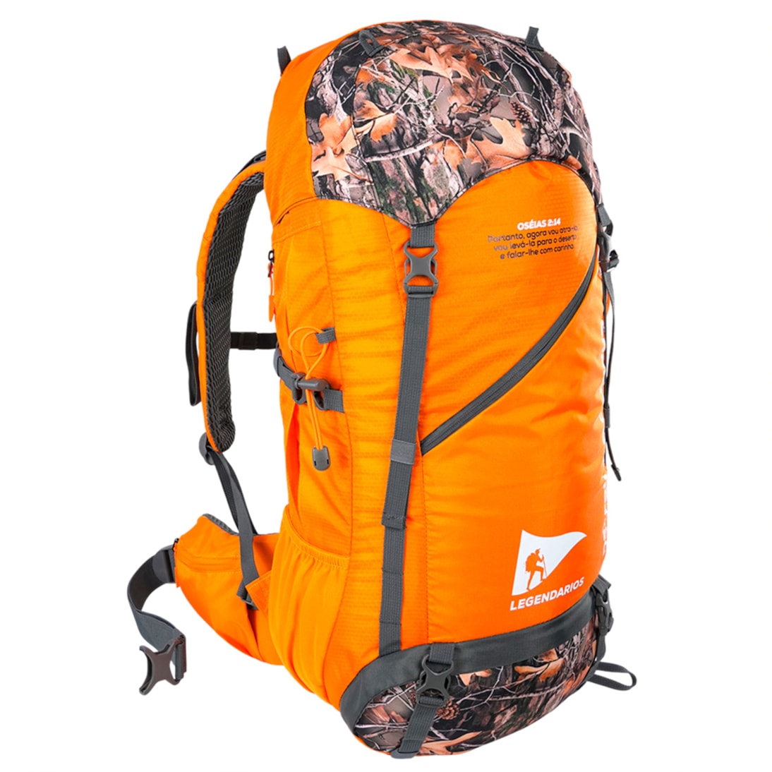 image_fb772cfa-a543-449d-a7a1-5d5a34d5e62b