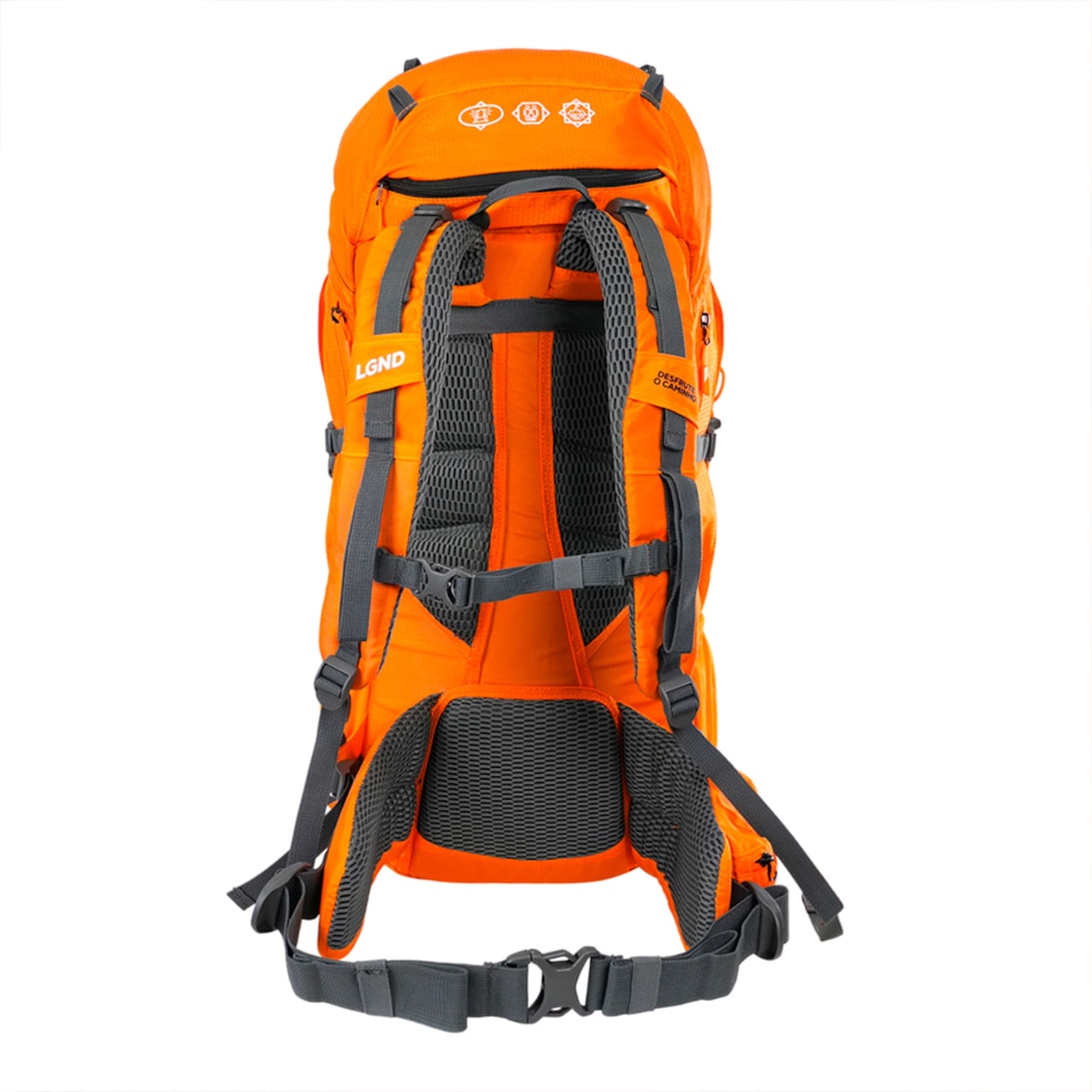 image_d270f57f-e35a-47b9-a0af-7c6e269cd1b4