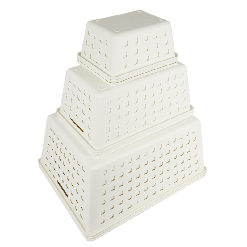 image_48893d62-01a5-4d60-84ee-6440741a95e3