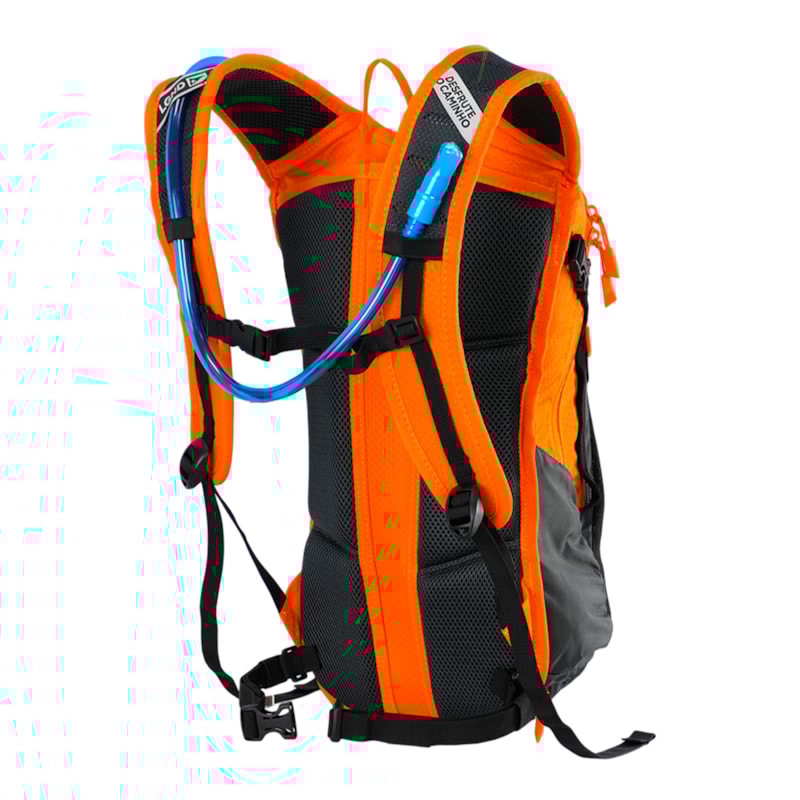 image_426f38fc-0028-46ca-857a-1ef03ec80d2b