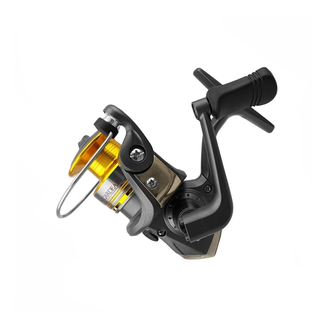 image_9b9febd6-ca33-48c3-9827-8fbf2c3e9ccd