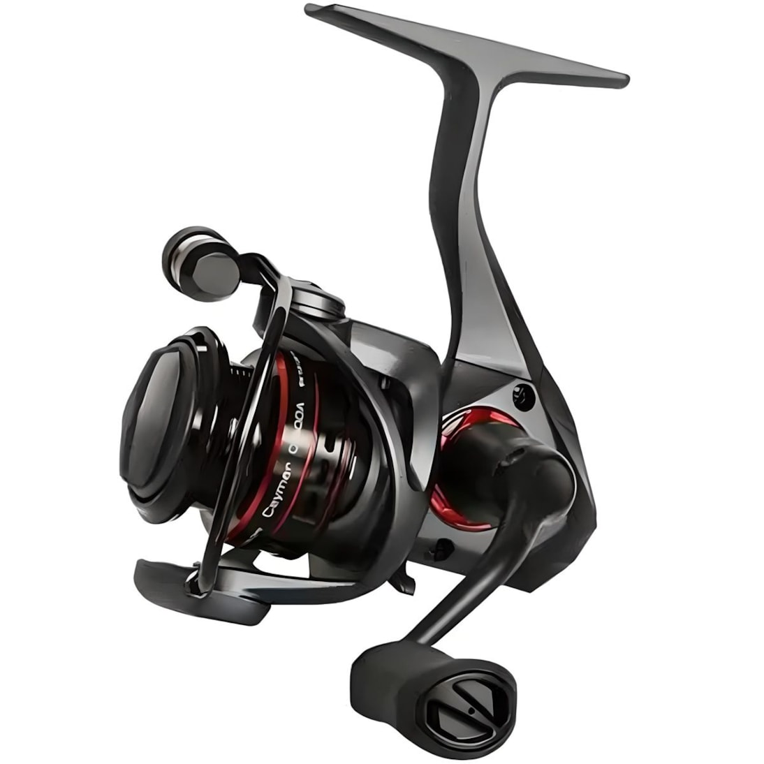 image_86f01290-63fd-4158-93de-214d7b9768a3