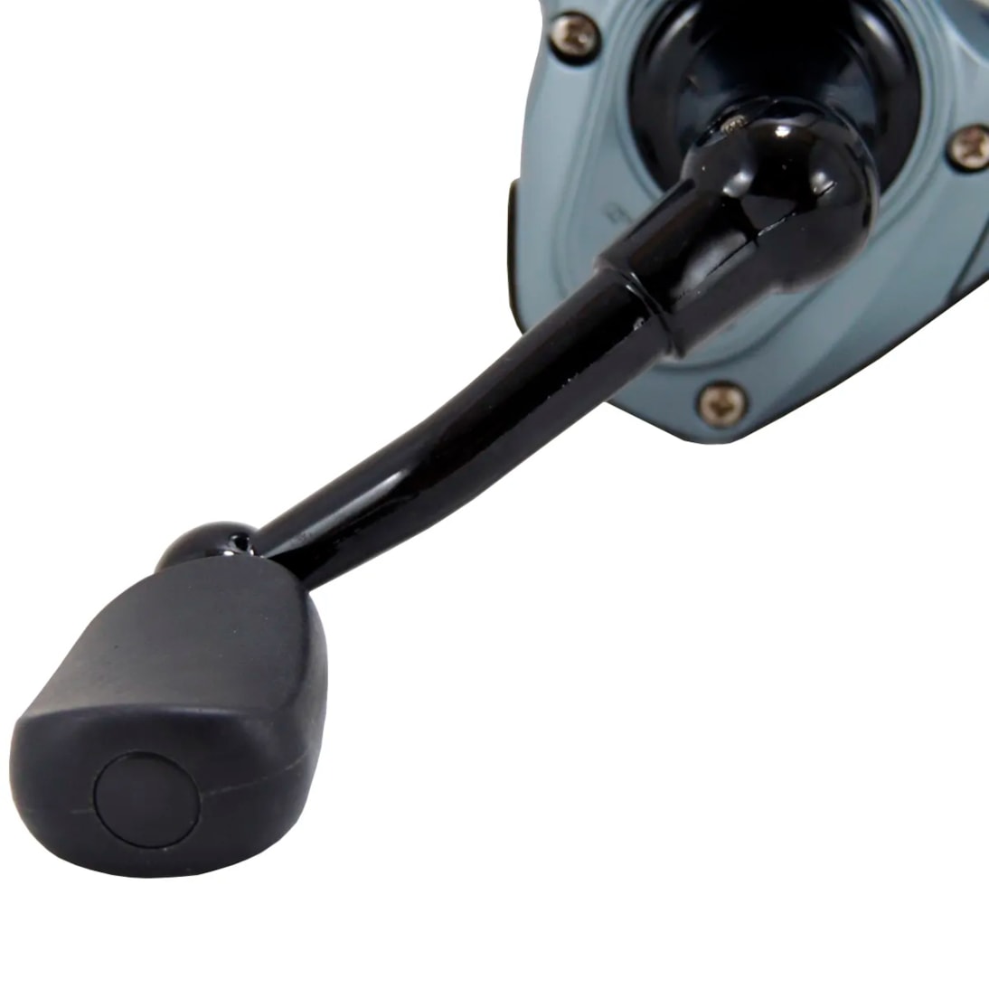 image_c20ccfff-1d35-4308-812d-cafd7d5b778d