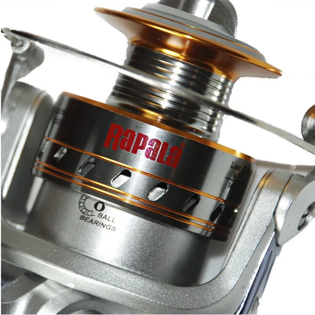 image_4a5f4286-af64-4c1d-8ff5-dde47450f73a