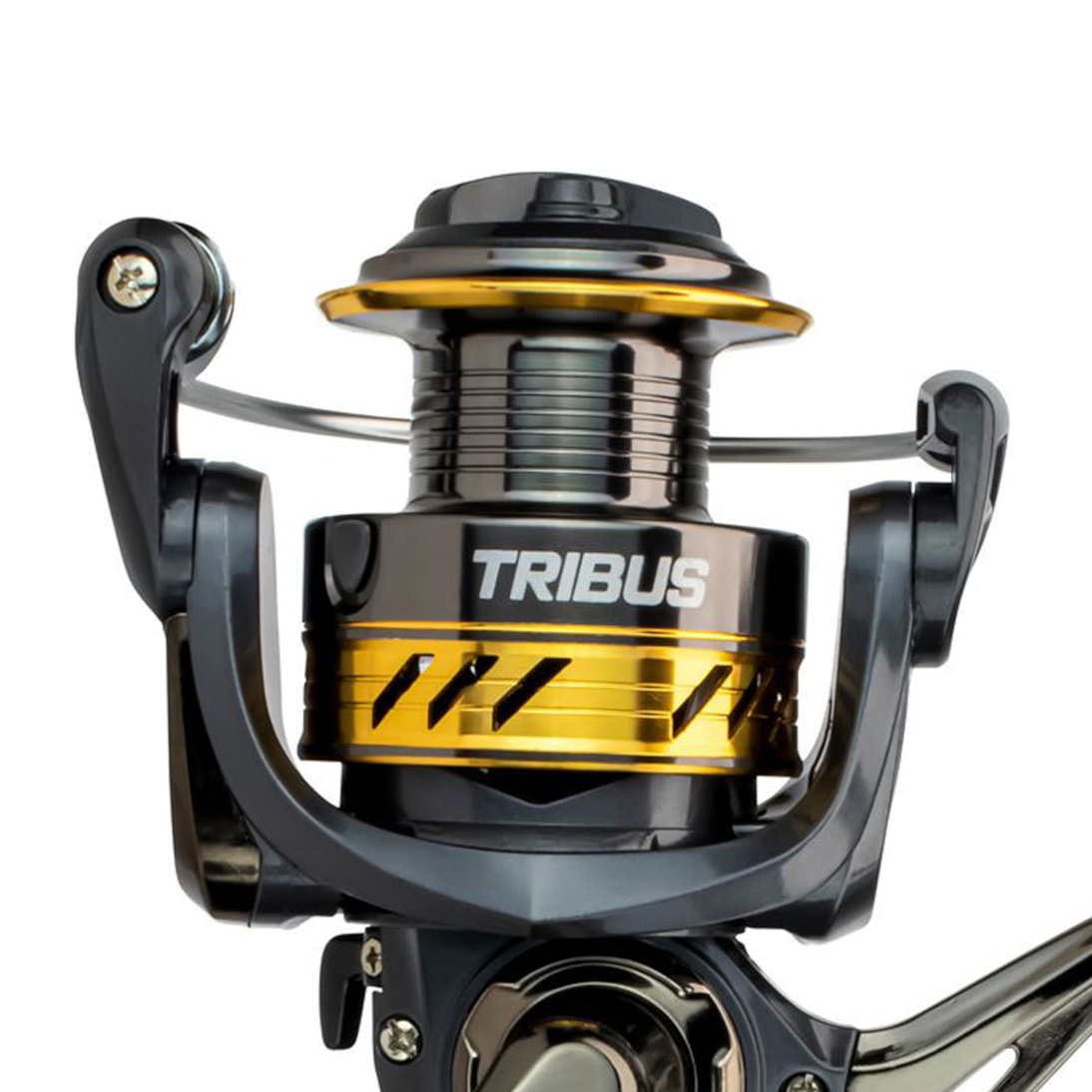 image_c8bcf03e-081f-4192-a3a9-da8cee649637