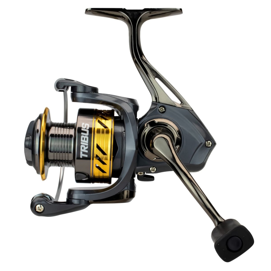 image_6b13f647-b0e0-49b4-aca4-244aae6c10a5