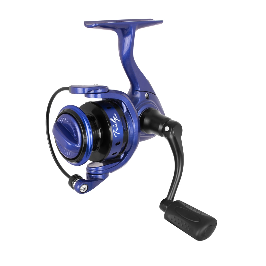 image_15540bd5-342e-4314-8d3f-cfdff52c6af4