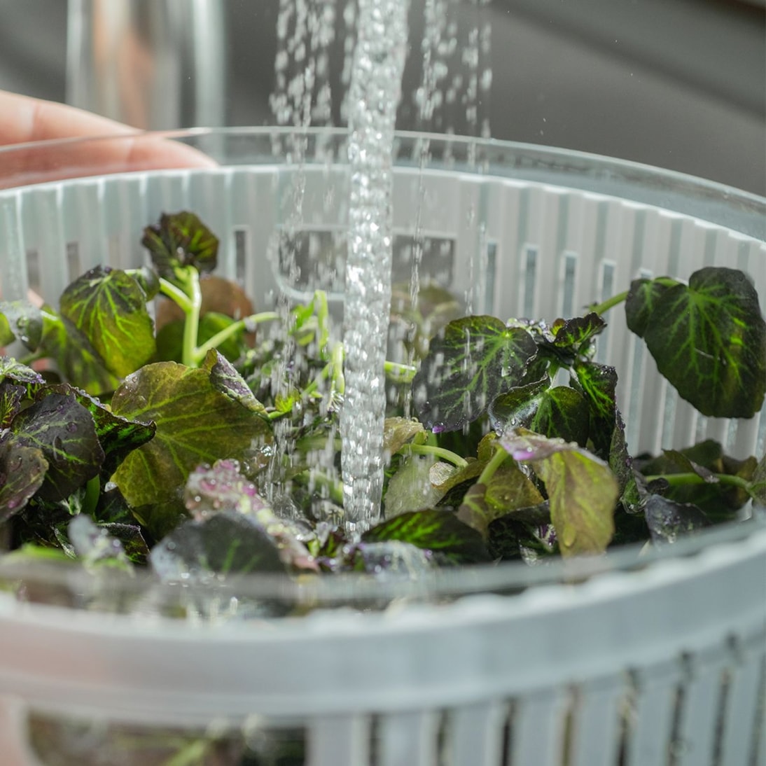 image_54717d7a-afe7-4753-bc4e-b38e3f30791f