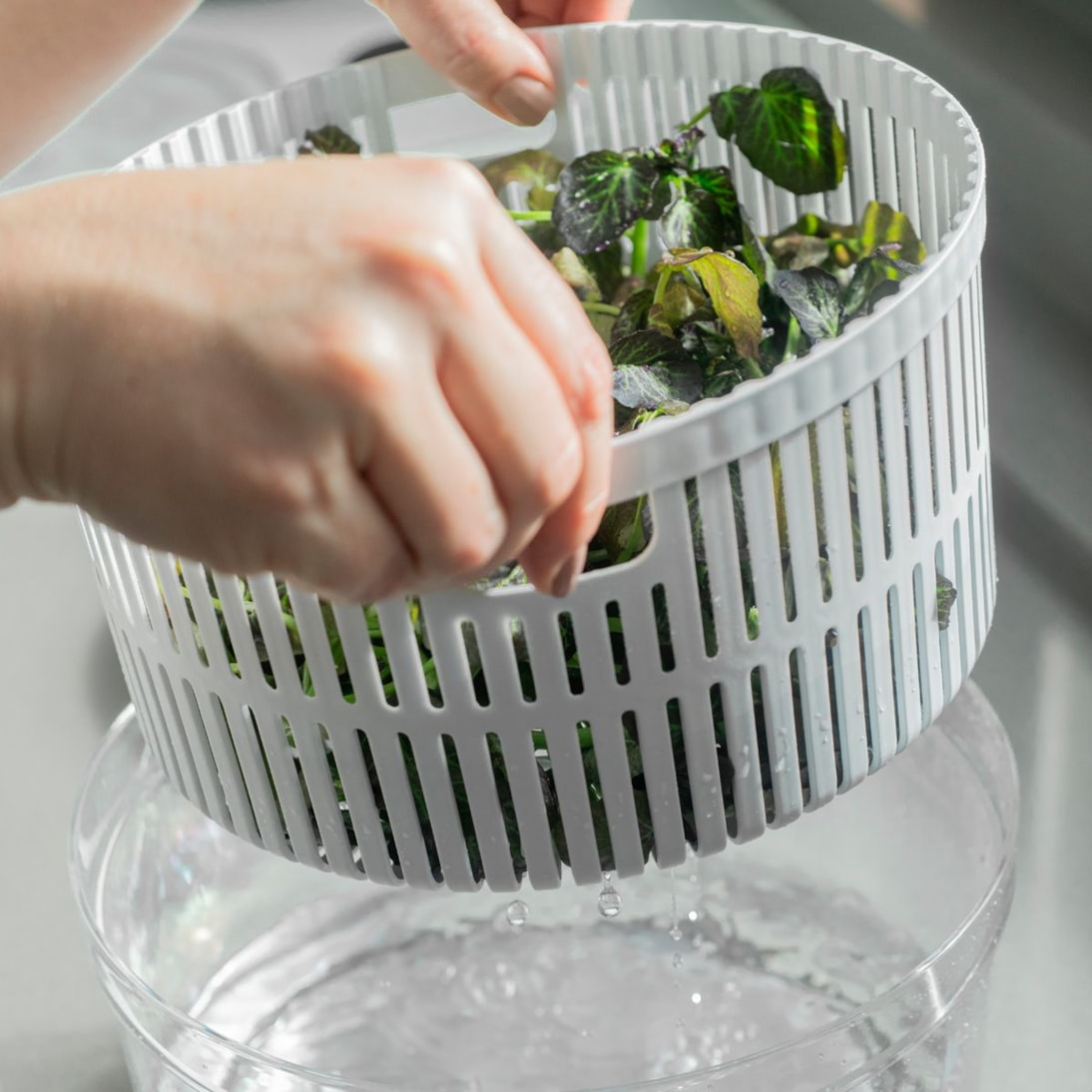 image_cf005d5c-8247-4fca-8358-6dfb1f5a6745