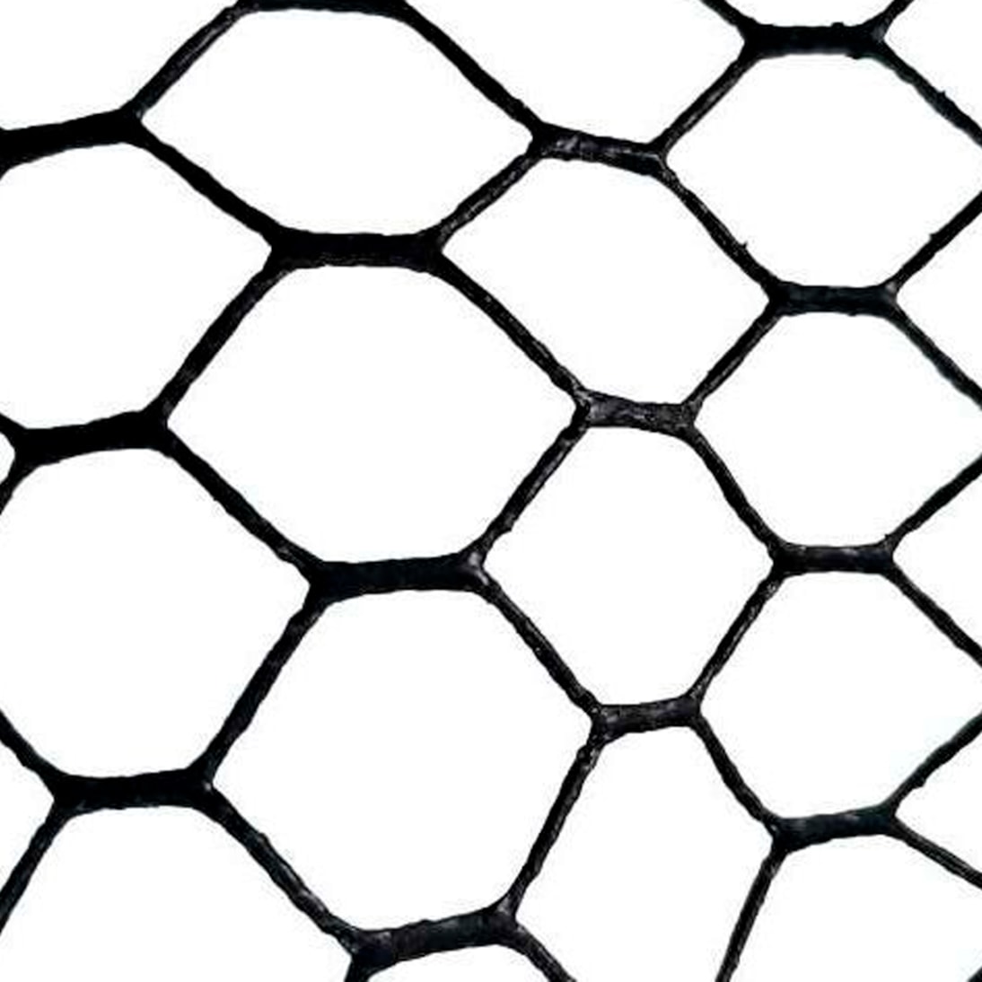 image_1a014cb9-aa2d-4b55-9bc5-8f905805cf0a